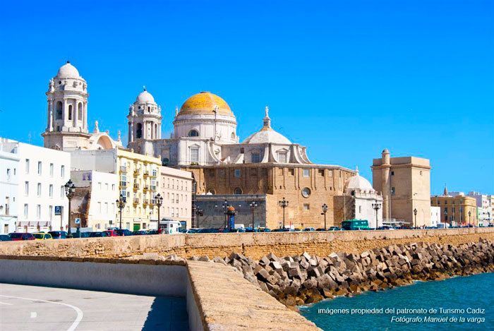 Seville: Jerez, Cadiz Wine Tasting with Optional Horse Show - Guides, languages, and the feel of the day