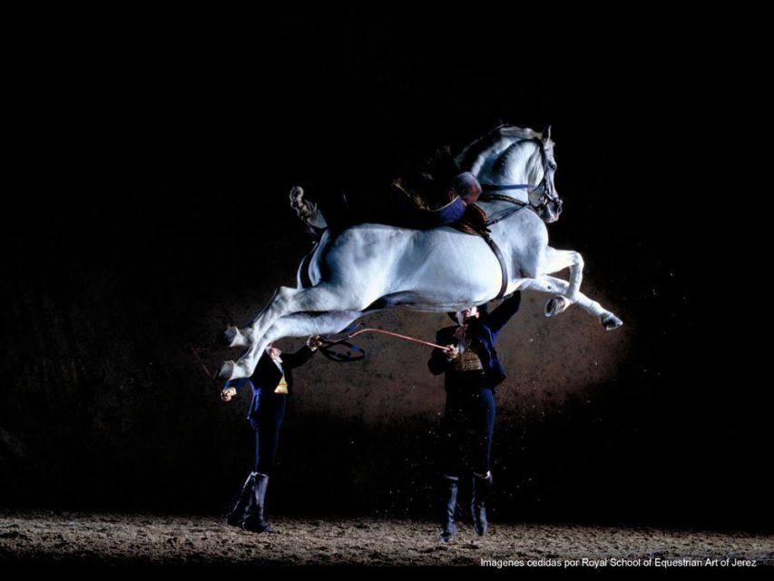 Seville: Jerez, Cadiz Wine Tasting with Optional Horse Show - Is the $115 price fair?