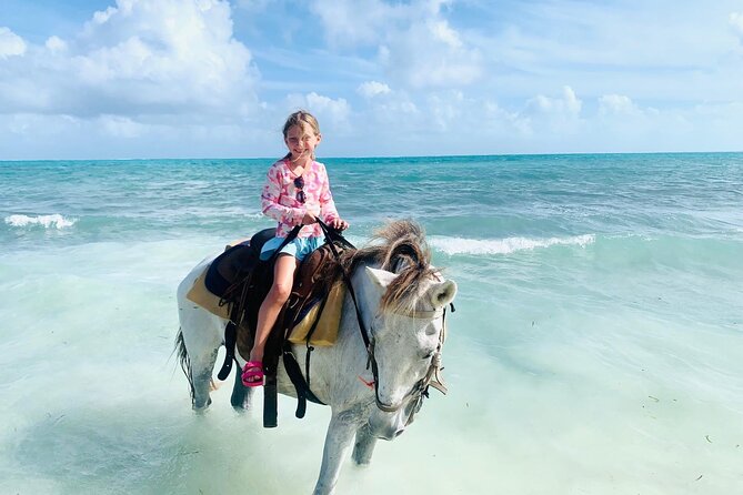 Shared Horseback Riding in Turks and Caicos - A gentle start at Malcolm Road