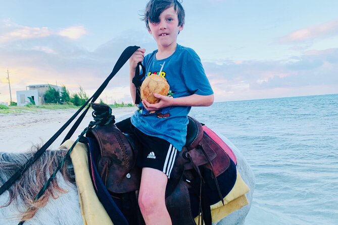 Shared Horseback Riding in Turks and Caicos - Who will enjoy this most