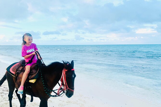 Shared Horseback Riding in Turks and Caicos - How this ride compares with a regular beach outing