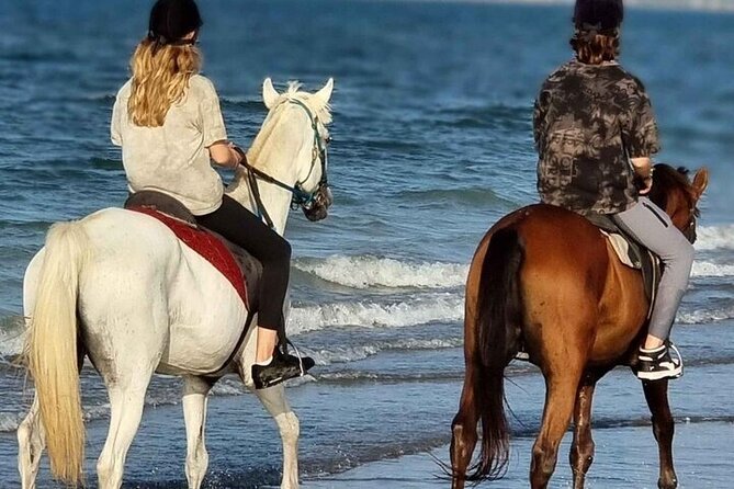 Sharm El-Sheikh: 2-Hour Horse Ride Along Beach & Desert Trails - Key points to know before you book