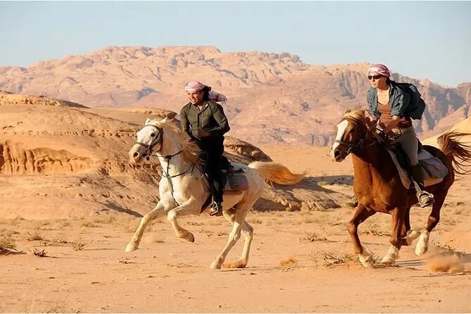 Sharm El-Sheikh: 2-Hour Horse Ride Along Beach & Desert Trails - From your hotel to Edelweiss Equestrian Center