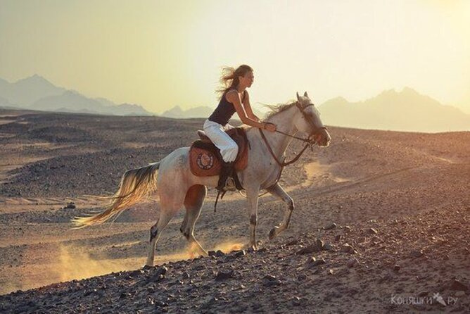 Sharm El-Sheikh: 2-Hour Horse Ride Along Beach & Desert Trails - What the $40 price really covers