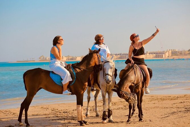 Sharm El-Sheikh: 2-Hour Horse Ride Along Beach & Desert Trails - Across the Sinai desert toward the mountains