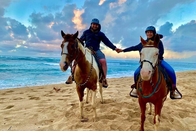 Sharm El Sheikh Horseback Riding with Pickup and Drop-off - Key points before you book