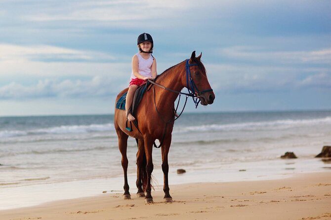 Sharm El Sheikh Horseback Riding with Pickup and Drop-off - Why this ride works well in Sharm El Sheikh