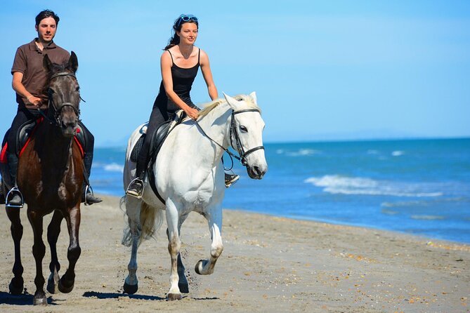 Sharm El Sheikh Horseback Riding with Pickup and Drop-off - Choosing one hour or two hours on horseback