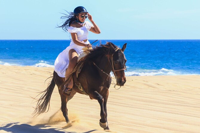 Sharm El Sheikh Horseback Riding with Pickup and Drop-off - Desert riding or a Red Sea beach route