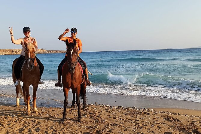 Sharm El Sheikh Horseback Riding with Pickup and Drop-off - The value of an $8.16 starting price