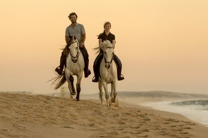Sharm El Sheikh Horseback Riding with Pickup and Drop-off - Who should choose this horseback ride