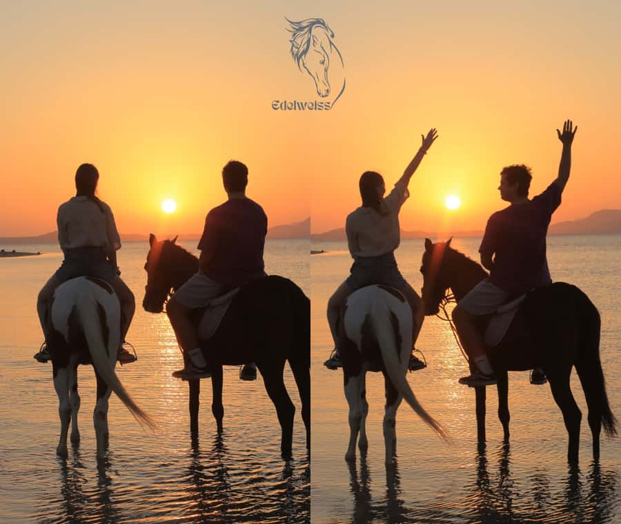 Sharm El Shiekh: Beach and City Desert Horse Riding Tour - Key points at a glance