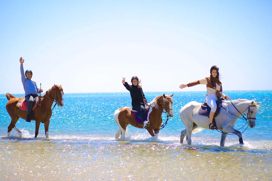 Sharm El Shiekh: Beach and City Desert Horse Riding Tour - The beach ride and Red Sea swim