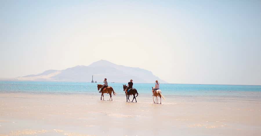 Sharm El Shiekh: Beach and City Desert Horse Riding Tour - Horse care and riding comfort