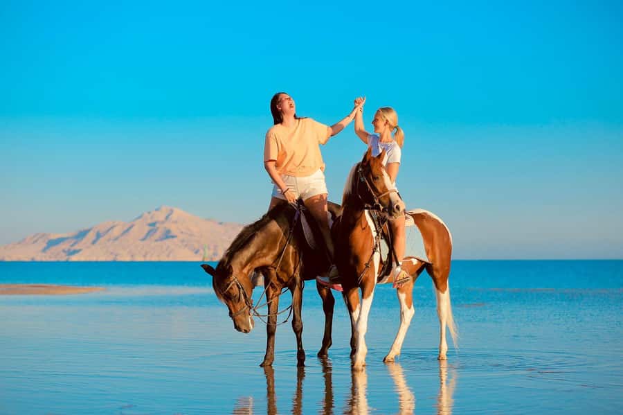 Sharm El Shiekh: Beach and City Desert Horse Riding Tour - Hotel pickup and small-group details