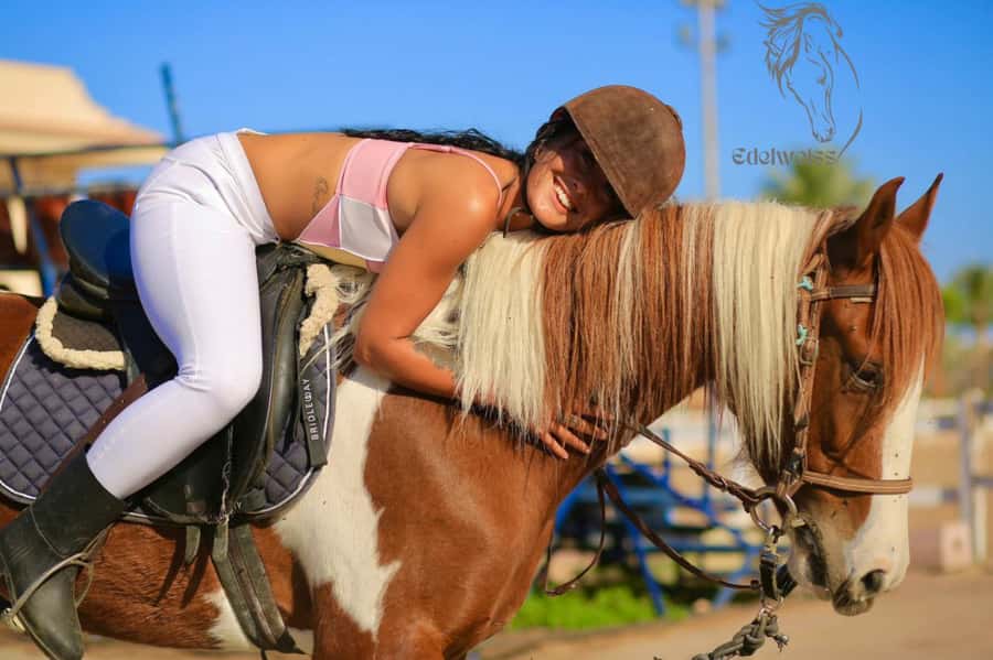 Sharm El Shiekh: Beach and City Desert Horse Riding Tour - Who will enjoy this ride most?