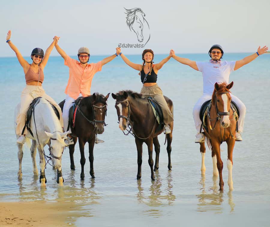 Sharm El Shiekh: Beach and City Desert Horse Riding Tour - What the two-hour route feels like