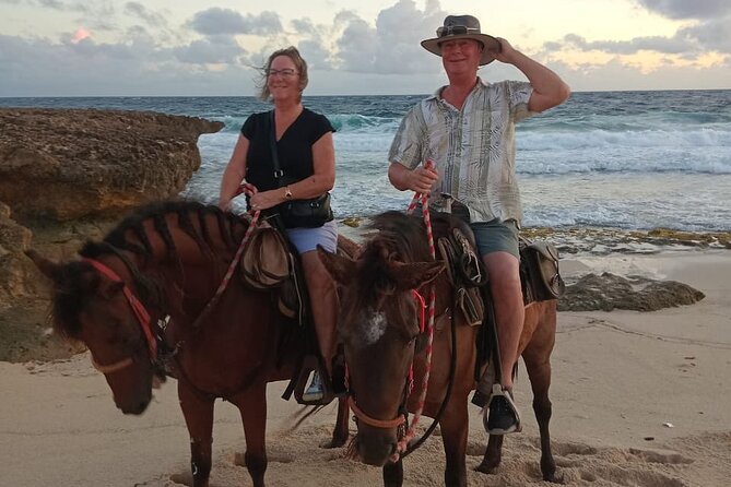 Shore Excursion Aruba’s Ecological and Beach Horseback Riding - The beach stop is the memorable payoff