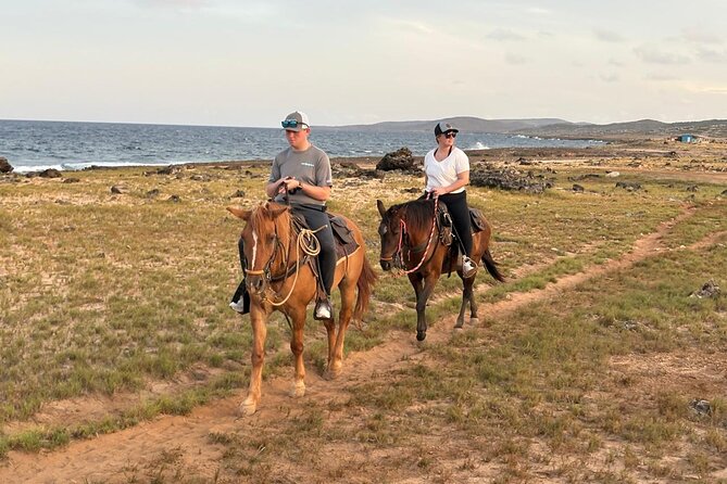 Shore Excursion Aruba’s Ecological and Beach Horseback Riding - Returning on a cruise-day schedule