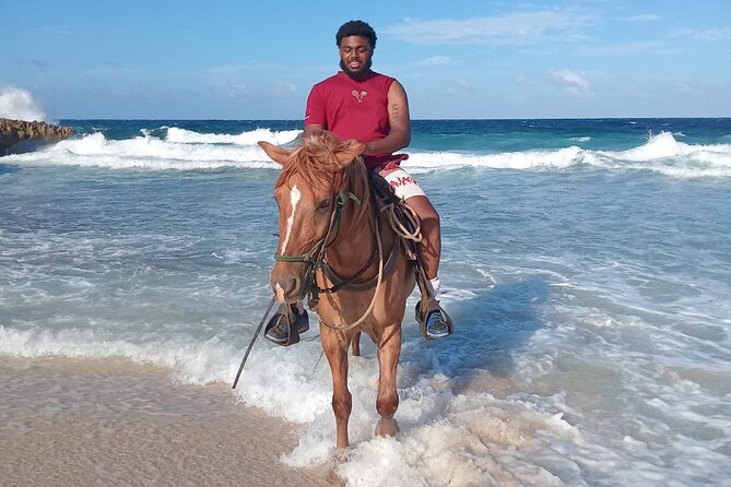Shore Excursion Aruba’s Ecological and Beach Horseback Riding - Who will enjoy this ride most