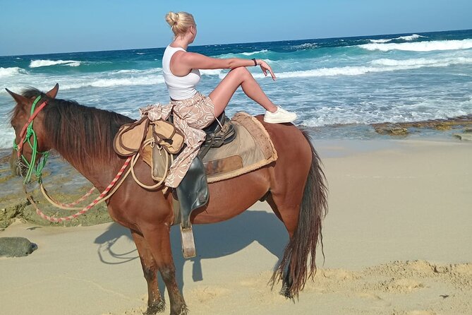 Shore Excursion Aruba’s Ecological and Beach Horseback Riding - Practical details worth knowing