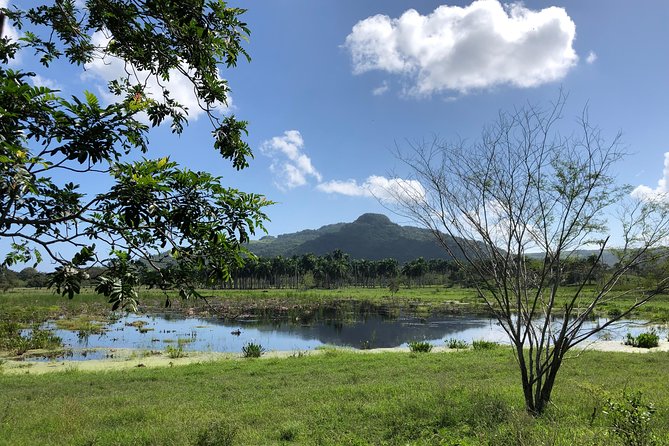 Shore Excursion: V.I.P. DayPass: ATV, Zip Lines, Horseback Riding & Lunch - A home-cooked Dominican lunch