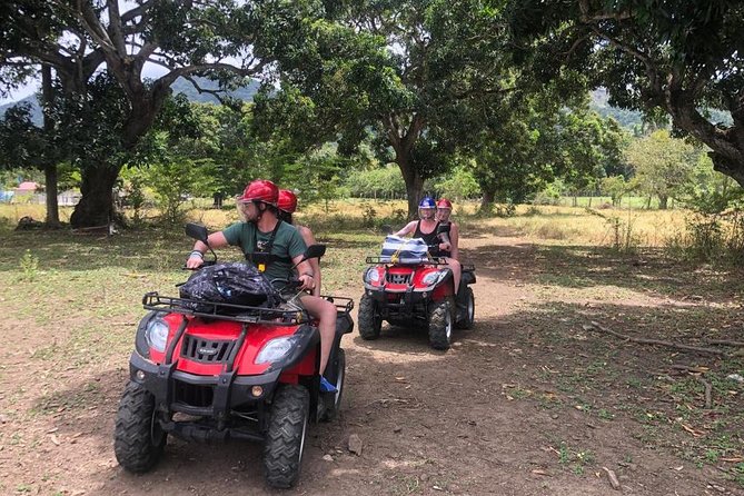Shore Excursion: V.I.P. DayPass: ATV, Zip Lines, Horseback Riding & Lunch - Eight zip lines and one pool splash