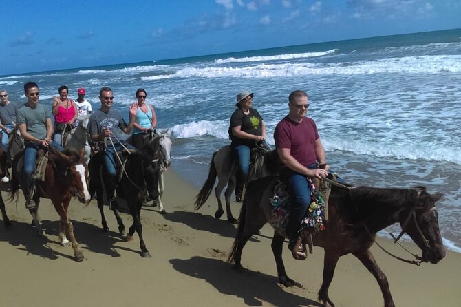 Short Excursion horseback riding tours on the beach and mountain - From Cabarete Beach to the Dominican Countryside