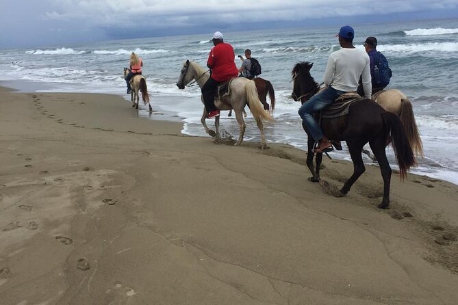 Short Excursion horseback riding tours on the beach and mountain - The Beach Ride: Best for Sea Air and Simple Views