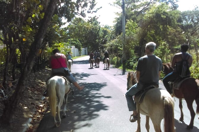 Short Excursion horseback riding tours on the beach and mountain - Who Will Enjoy This Most?