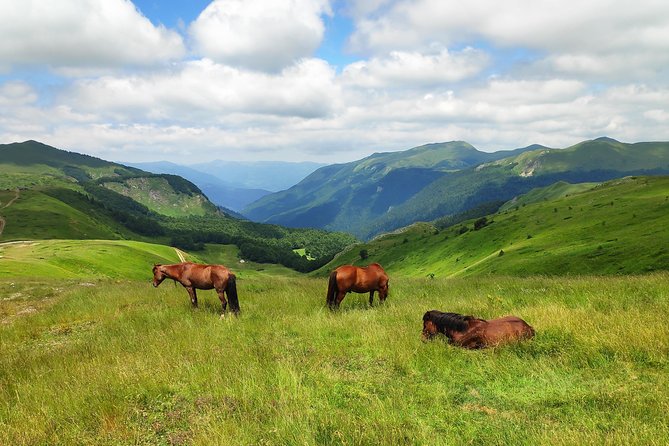 Short Horseback riding - Kolasin - Meeting Sport Turist in Kolašin
