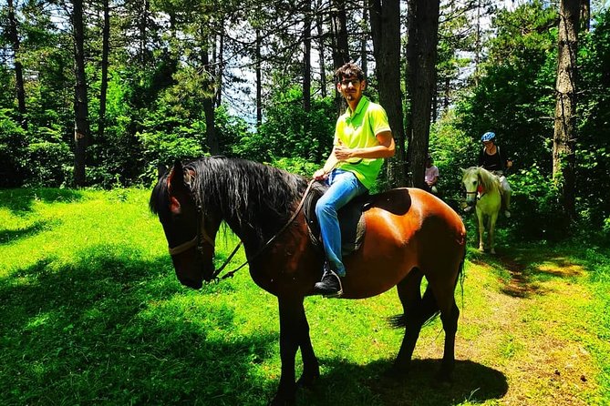 Short Horseback riding - Kolasin - The private format and personal attention