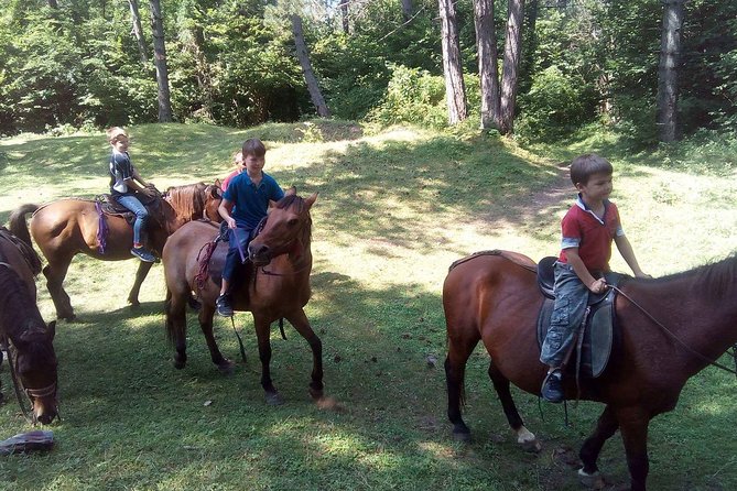 Short Horseback riding - Kolasin - The bigger route: meals, hiking, and a bungalow stay