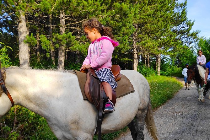 Short Horseback riding - Kolasin - Equipment, safety, and comfort