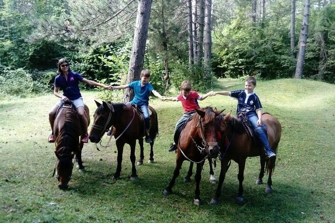 Short Horseback riding - Kolasin - Is the $68.26 price good value?