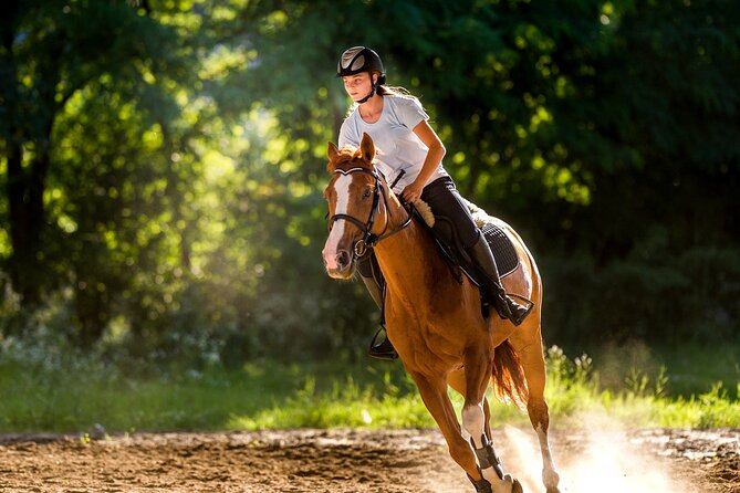 Side Horse Riding On Beach And Through The Forests For 2 Hours - Horse welfare is the central concern
