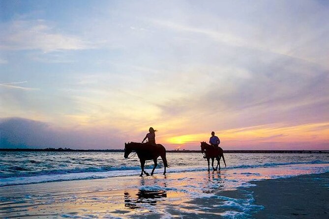 Side Horse Riding On Beach And Through The Forests For 2 Hours - Is $35 a fair price?