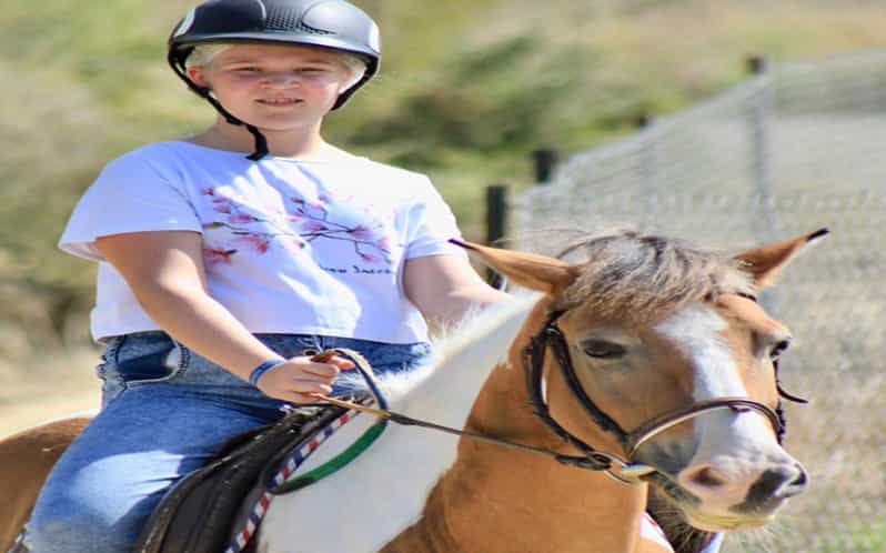 Side: Horse Safari Tour - Key points to know before you book