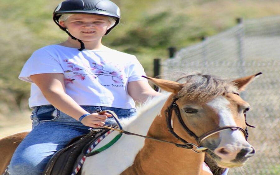 Side: Horse Safari Tour - Sea views, with an important qualification