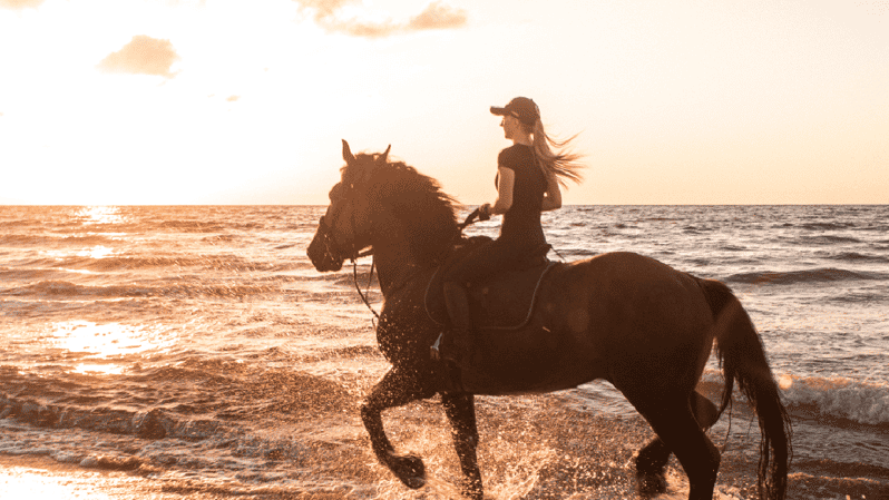 Side: Horseback Riding Tour in Nature - Key points at a glance