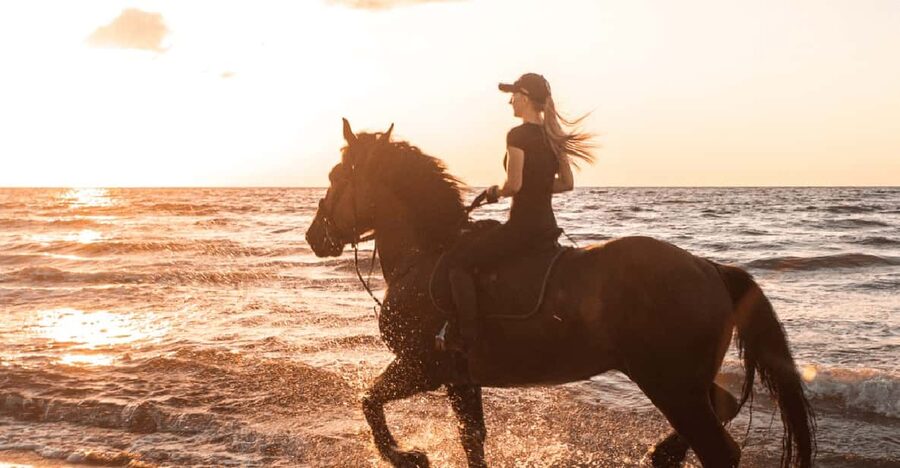 Side: Horseback Riding Tour in Nature - Why this ride is different from a standard beach outing