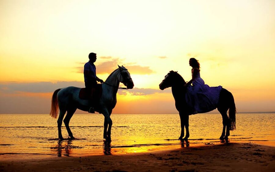 Side: Horseback Riding Tour in Nature - The ride itself: beach, woods, and open views