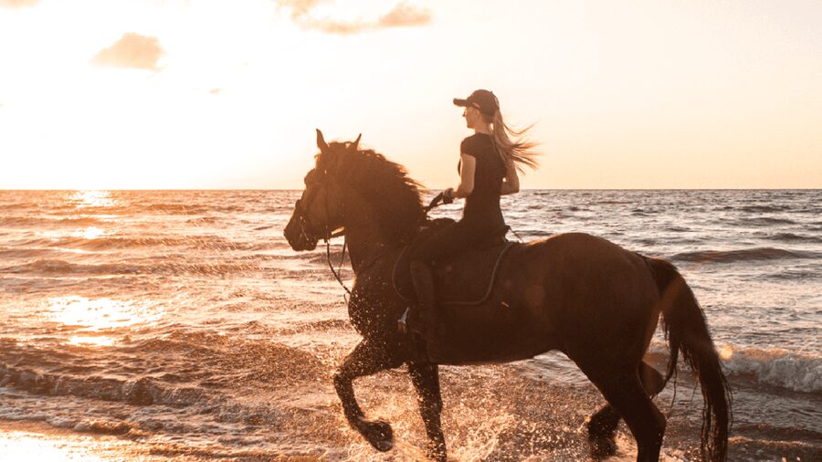 Side: Horseback Riding Tour in Nature - Who will enjoy this most