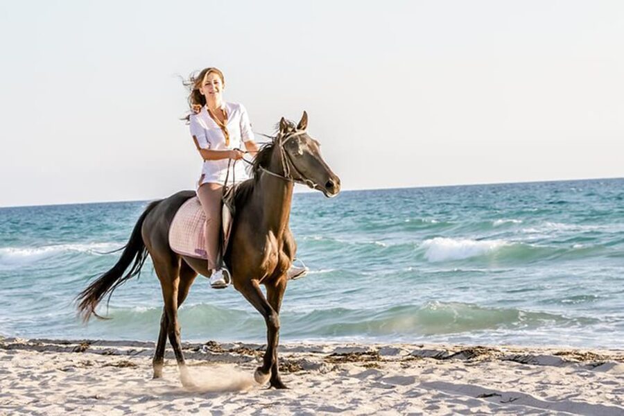 Side: Horseback Riding Tour in Nature - Value at $58 per person