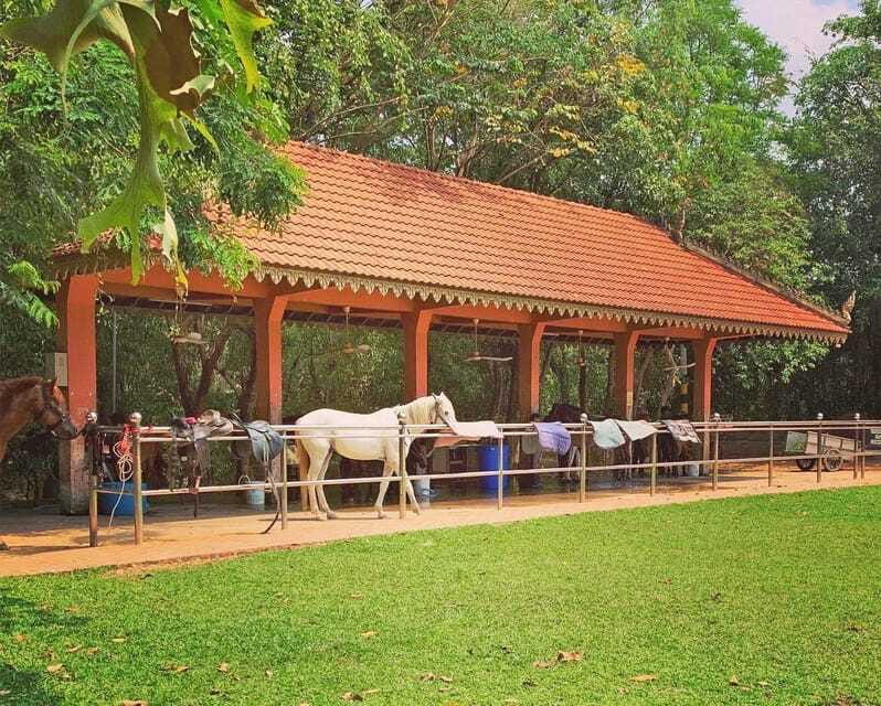 Siem Reap Happy Horse Riding Free Pick-up & Drop-off - Is the Three-Hour Ride Worth $72?