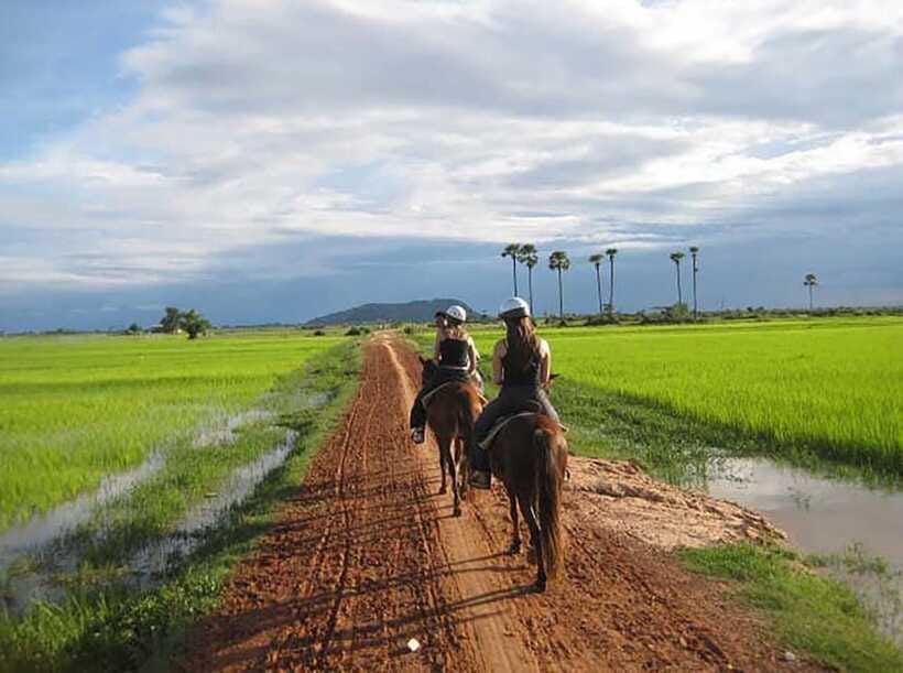 Siem Reap Happy Horse Riding Free Pick-up & Drop-off - Should You Book Siem Reap Happy Horse Riding?