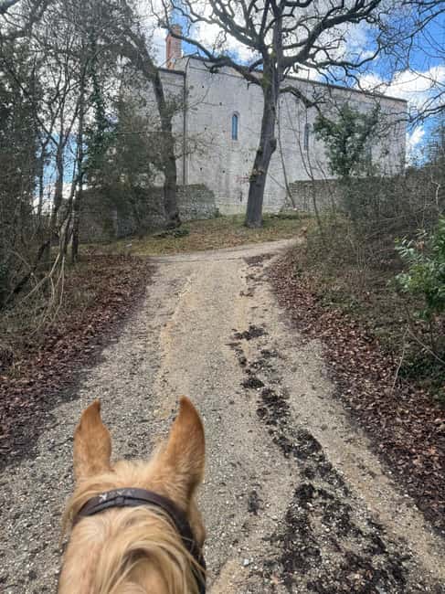Siena: Horseback Riding on the Via Francigena - Key points to know before booking