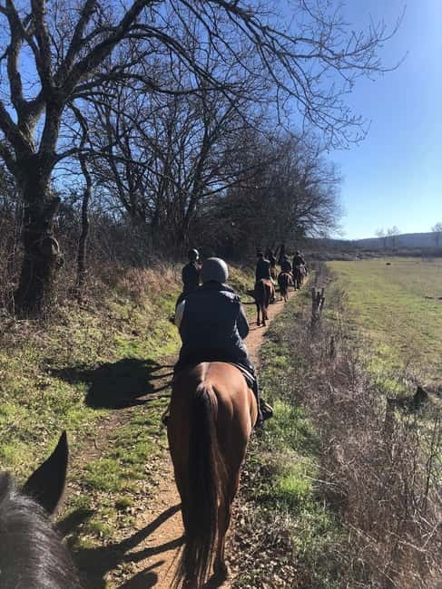 Siena: Horseback Riding on the Via Francigena - Riding the Via Francigena outside Siena
