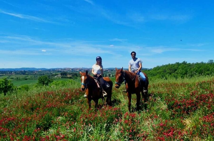 Siena: Horseback Riding Tour in the Tuscany Countryside - Key points to know before you book