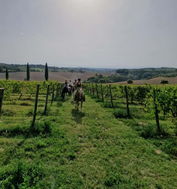Siena: Horseback Riding Tour in the Tuscany Countryside - Riding out from Colle Pinzuto